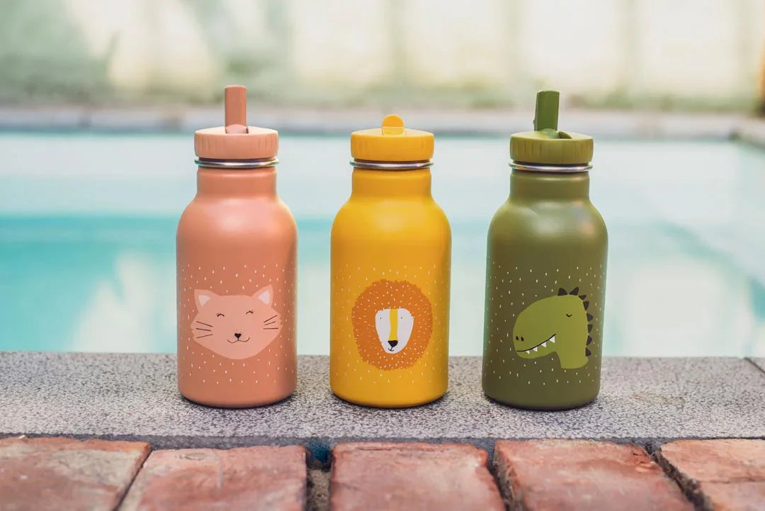 TRIXIE Trinkflasche 350ml - Mr. Dino - Nook' d' Mel - Kinder Concept Store