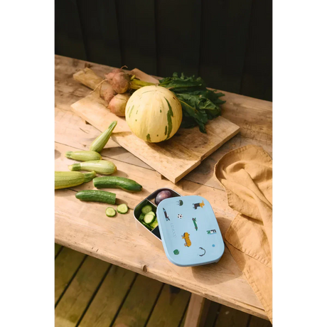 LIEWOOD Kinder Brotdose Edelstahl mit Silikondeckel Arthur "Fun / Beach blue"