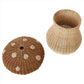 Pilz Korb